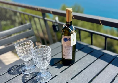 La finestra sul mare - Vermentino